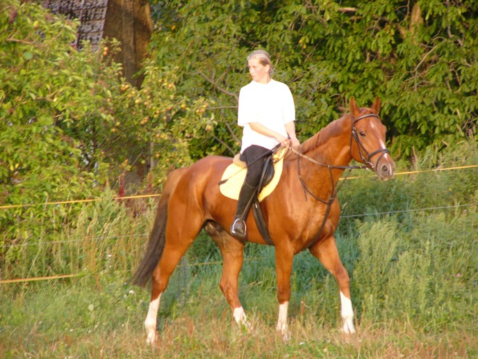 Rony krokování