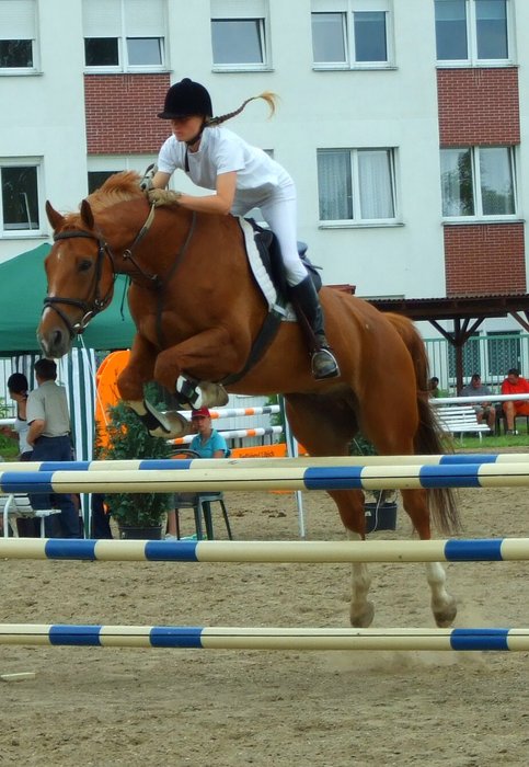 Ronýsek