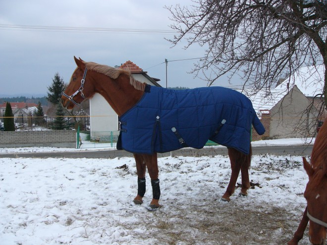 Zima