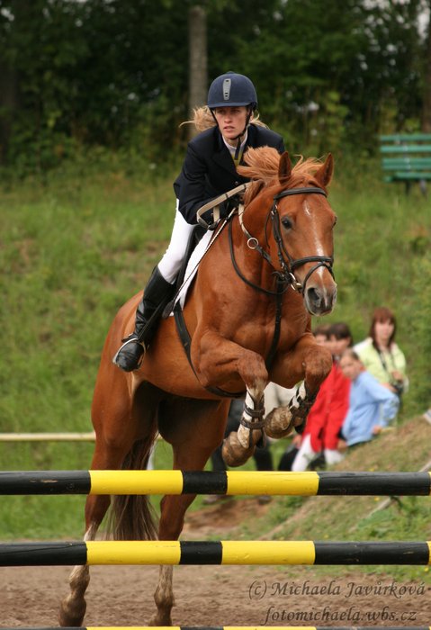 Ronys Hořice