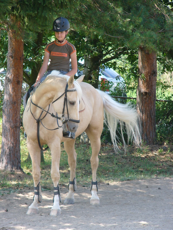 Ivča 