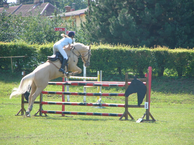 oxer