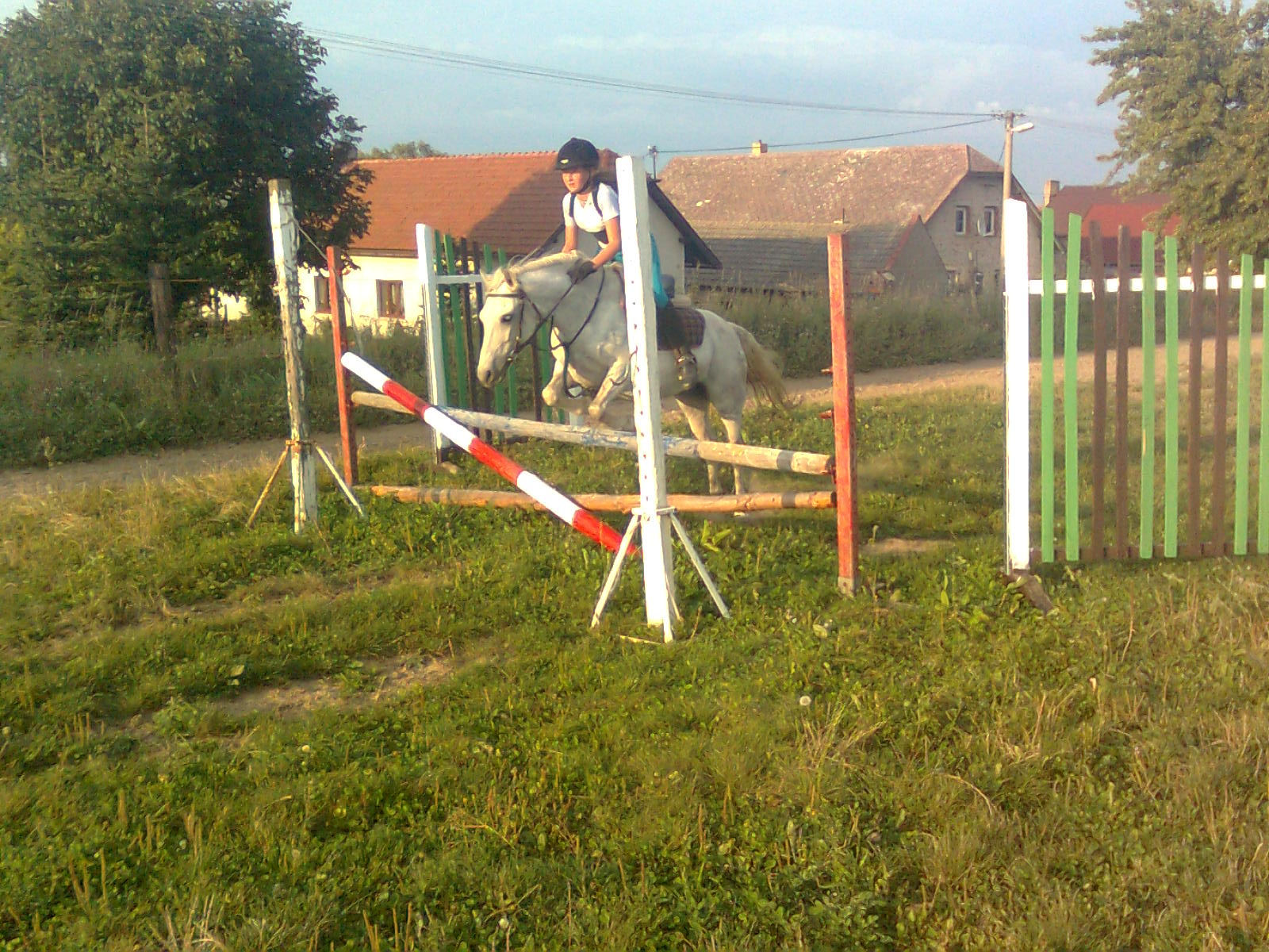 Terka.