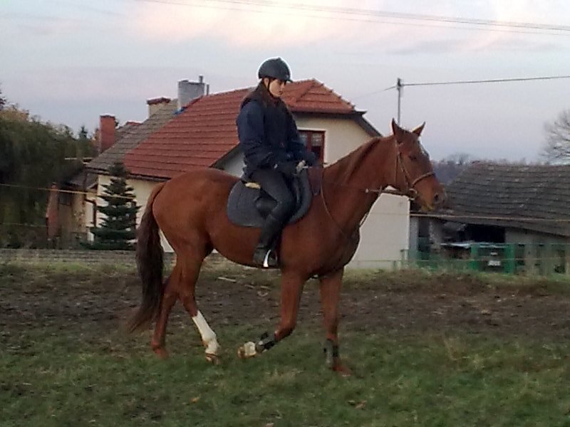 vanilka a ivča