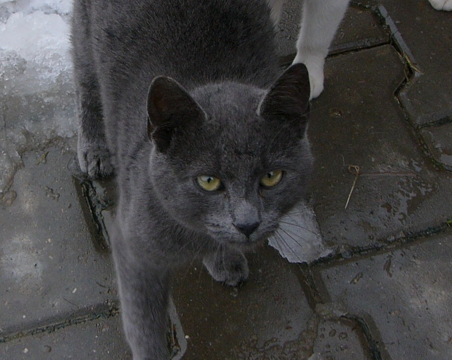 Kopie - foto 359.jpg