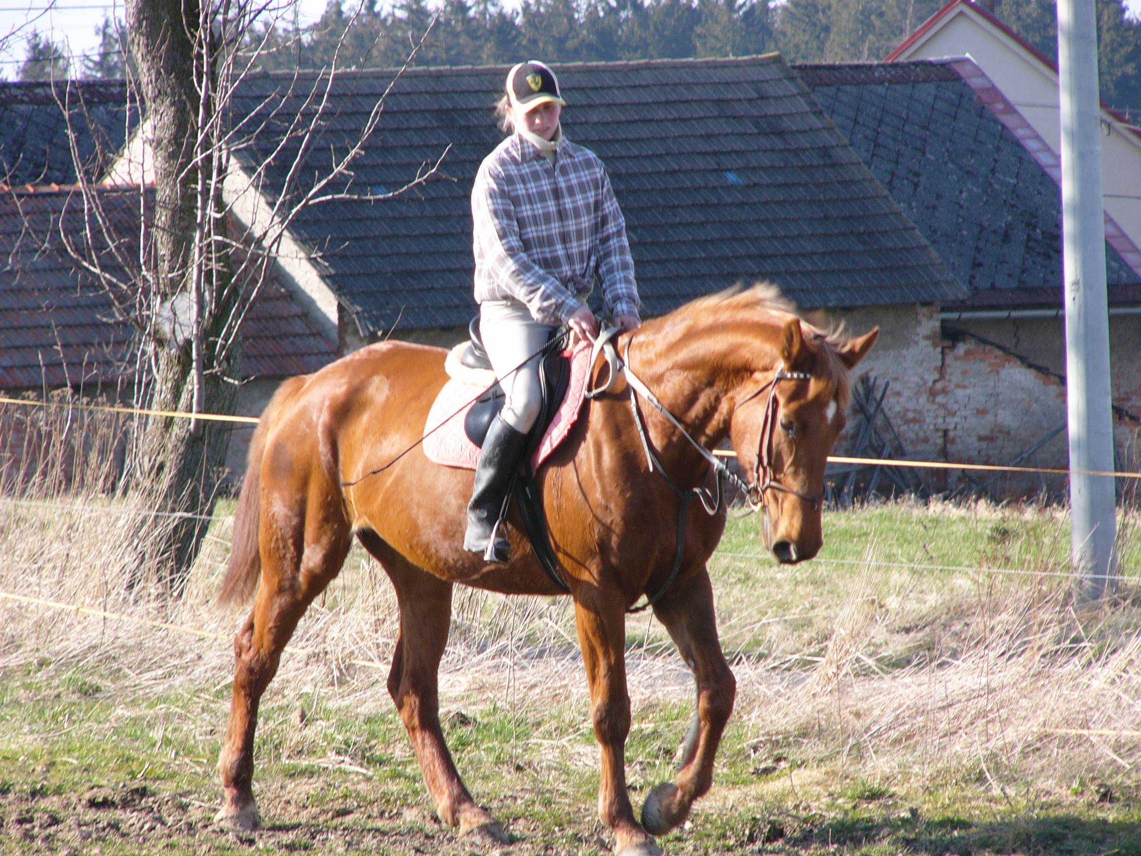 Sirda
